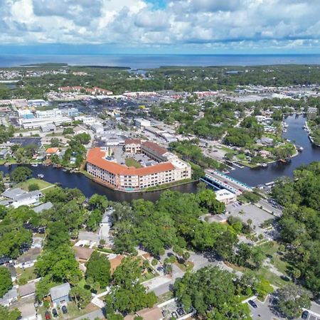 Walk Everywhere! 1-Bedroom Gem In Downtown Hub New Port Richey Kültér fotó