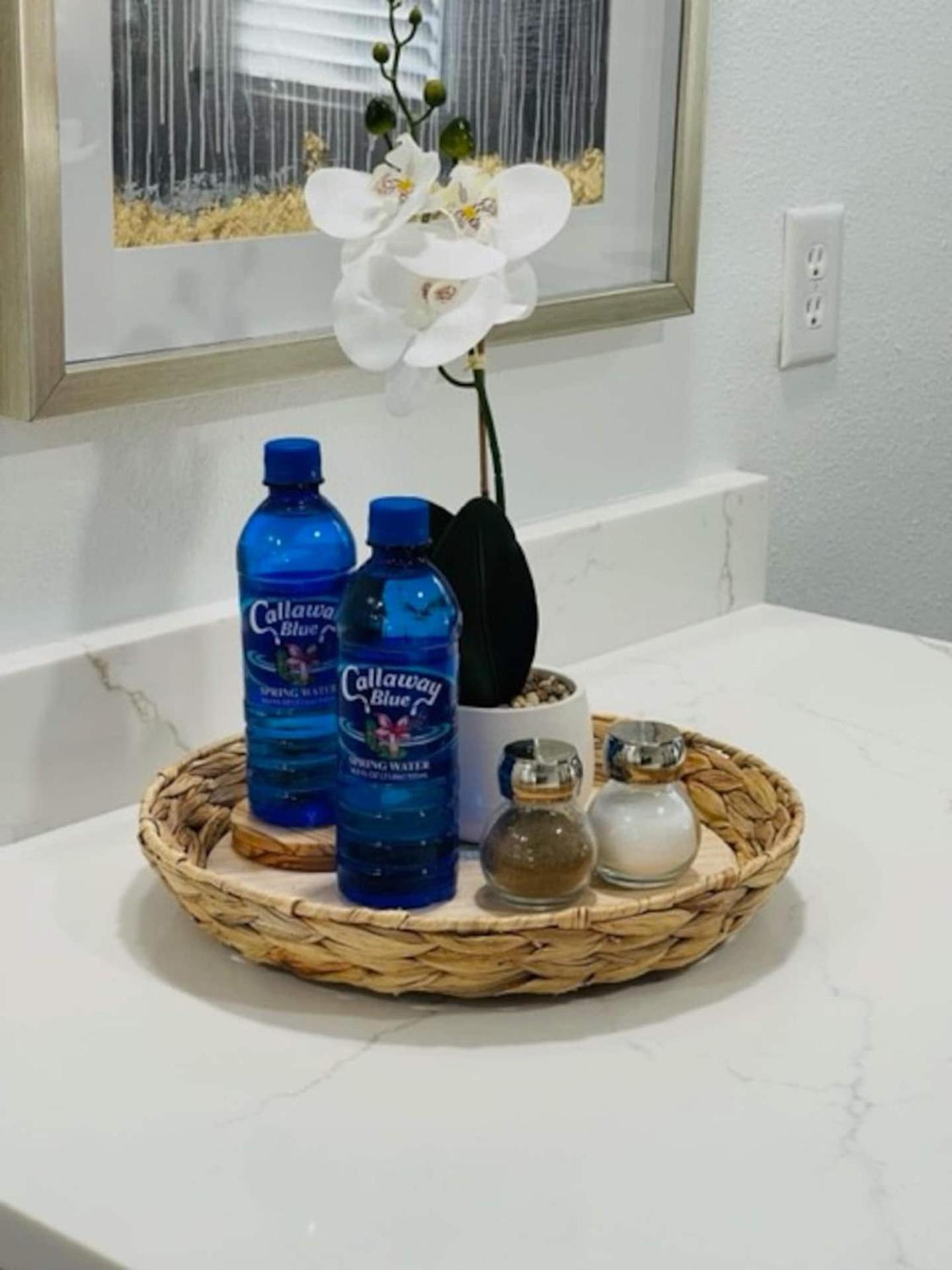 Walk Everywhere! 1-Bedroom Gem In Downtown Hub New Port Richey Kültér fotó