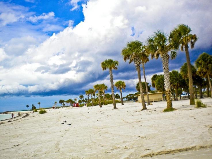 Walk Everywhere! 1-Bedroom Gem In Downtown Hub New Port Richey Kültér fotó