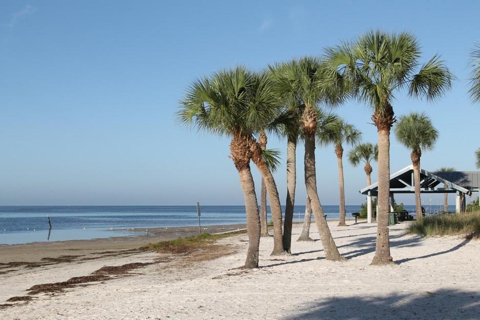 Walk Everywhere! 1-Bedroom Gem In Downtown Hub New Port Richey Kültér fotó